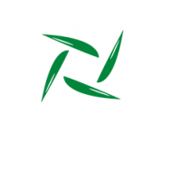 多元植物饮OEM代工生产庆葆堂