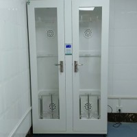 微电脑数显储镜柜内镜挂镜柜双门高分子内胆