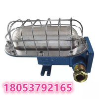 DGC18/127L(A)矿用隔爆型LED支架灯厂家供应