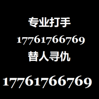 专业打手丨帮人打架复仇17761766769
