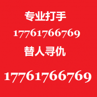 社会打手丨帮忙解决纠纷17761766769