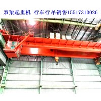 为什么市场对双梁行吊的需求会不断增加
