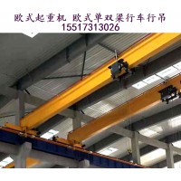 小型精密车间该如何选择适配的欧式行车吨位