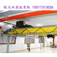 欧式双梁行吊在绿色制造中的应用前景如何