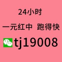 可以提现的1块红中麻将群