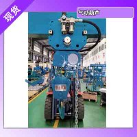 龙升气动葫芦运行式系列 250kg-3吨可选