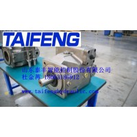 山东泰丰供应TFB1V63Y/1X-LRB2柱塞泵泰丰供应