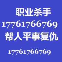 哪里找到打手杀手替人寻仇17761766769