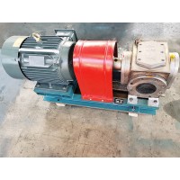 不锈钢齿轮泵 压滤高浓度输送泵