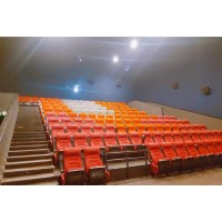 河南多功能会议厅座椅@鑫奥体育器材公司生产电影院座椅