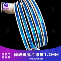 亮片膜 0.6MM镀铝亮片 金属亮片膜 0.8MM厚度PET亮片 卷装盘子幻彩亮片