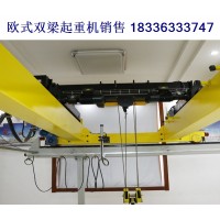 欧式双梁行吊在不同的工作环境下表现如何