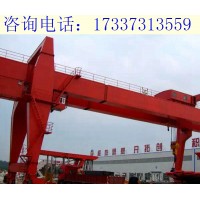 广西南宁双葫芦龙门吊的设备性能优化
