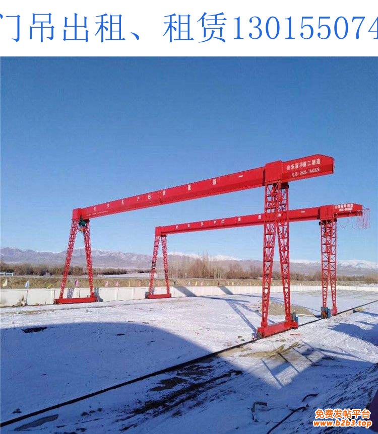 龙门吊厂家015