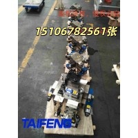 泰丰供应YN32-100FNBCV二通插装阀厂家直销电压可选