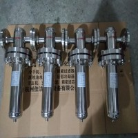 呼吸系统真空泵废气排放消毒装置 排气口灭菌器