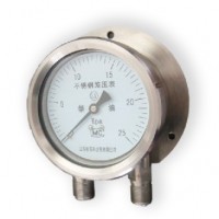 不锈钢差压表