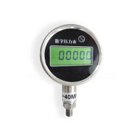 数字显示压力表