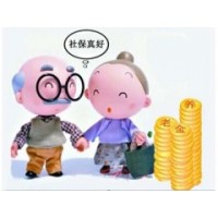 跨区域企业如何交三亚社保，三亚社保代缴，三亚本地人力资源公司