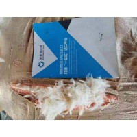 宁波港港鸭毛进口清关