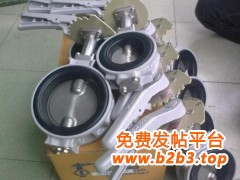 KITZ蝶阀1