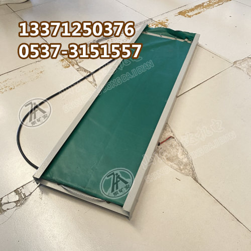 撕裂传感器 (4)(1)