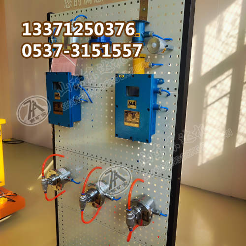 洒水降尘装置 (12)