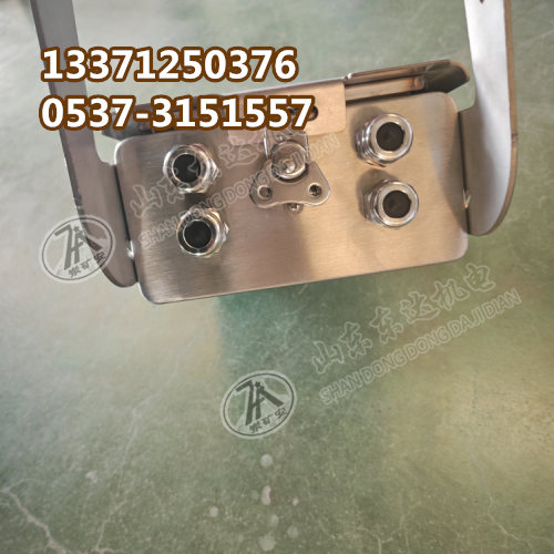 声光报警摄像仪 (4)