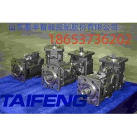 山东泰丰智能供应柱塞泵TFB1V80S/1X-LRB2-K可串泵