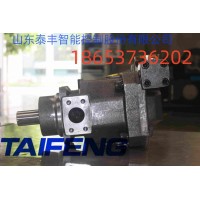 山东泰丰智能供应柱塞泵TFB1V63LR/1X-LRB2恒功率