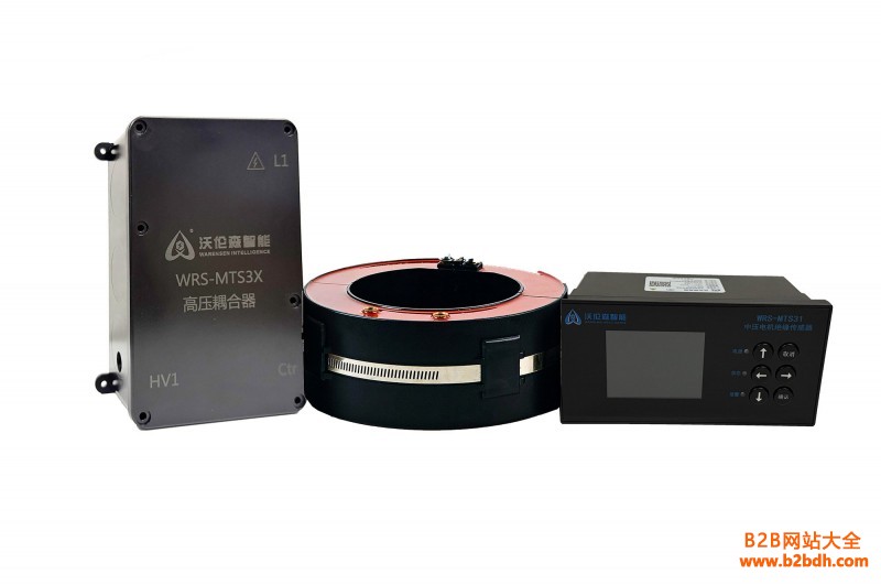 高压电机绝缘在线装置