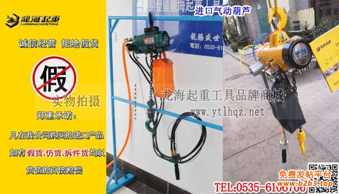 进口气动葫芦单条大图