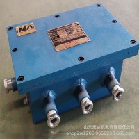 矿用隔爆兼本安型稳压电源KDW127/12B