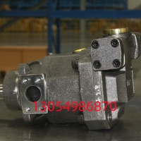 柱塞泵TFB1V80LR/1X-LRB2