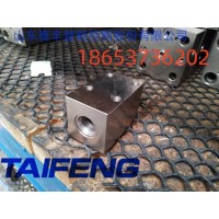 山东泰丰TAIFENG供应TLFA25WERZA-7X-SM 型盖板厂家直销
