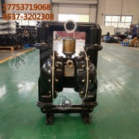 BQG矿用自动气动隔膜泵 体积小重量轻安装维修方便