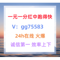 王道一元一分血战真人跑得快多人在线