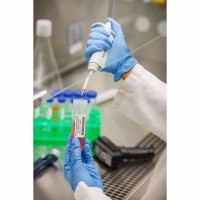 广州贝迪冷冻标签THT-163-6421