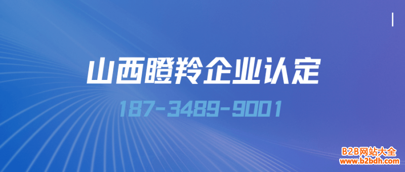 山西瞪羚企业认定