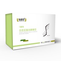 白芸豆复合酵素饮 OEM贴牌代加工源头工厂支持定制