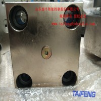 山东泰丰TLFA32GA--7X梭阀控制盖板