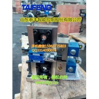 山东泰丰液压泰丰智能供应汽车车顶液压成型机油路块二通插装阀