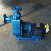 ZN型专用倒浆泵两道止回装置 瞬间上浆
