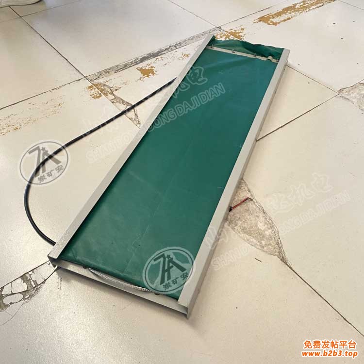 撕裂传感器 (8) 副本