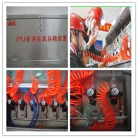 可满足矿用箱式压风自救装置定制需求的工厂