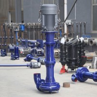 立式渣浆泵高效稳定抽沙泵 大流量污水泵