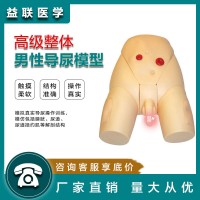 益联医学整体男性导尿模型