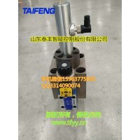 TAIFENG/泰丰TLCF40双主动比例二通插装阀