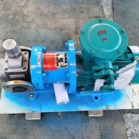 磁力螺杆泵 卧式磁力驱动泵 安全防爆无脉动输送泵
