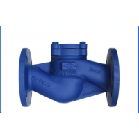 德国艾瑞ARI旋启式止回阀 进口正宗20K止回阀